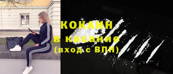 стафф Алексин