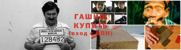 стафф Алексин