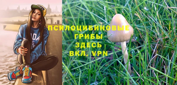 спайс Сатка