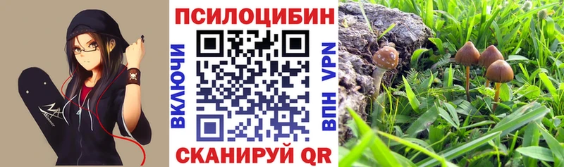 Галлюциногенные грибы Magic Shrooms  Кола 