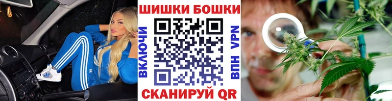 Бошки Шишки сатива  Кола 